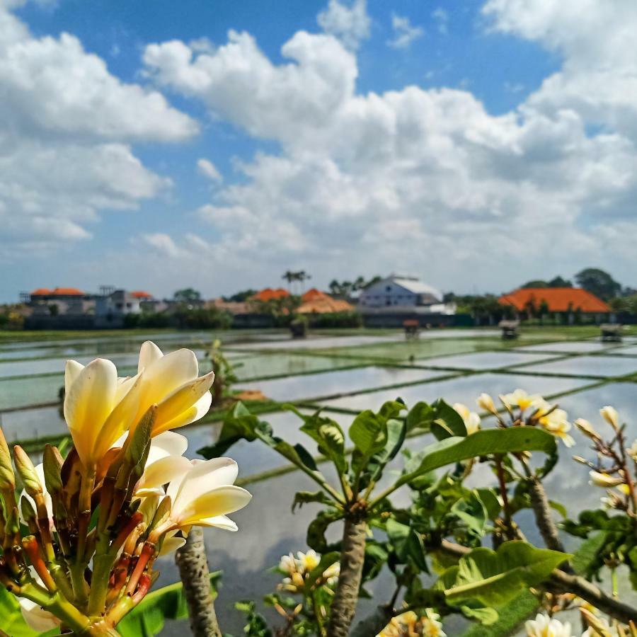 The Avani Villas Kuta Lombok Εξωτερικό φωτογραφία